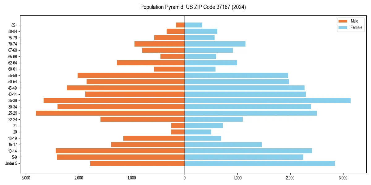 Population pyramid for 