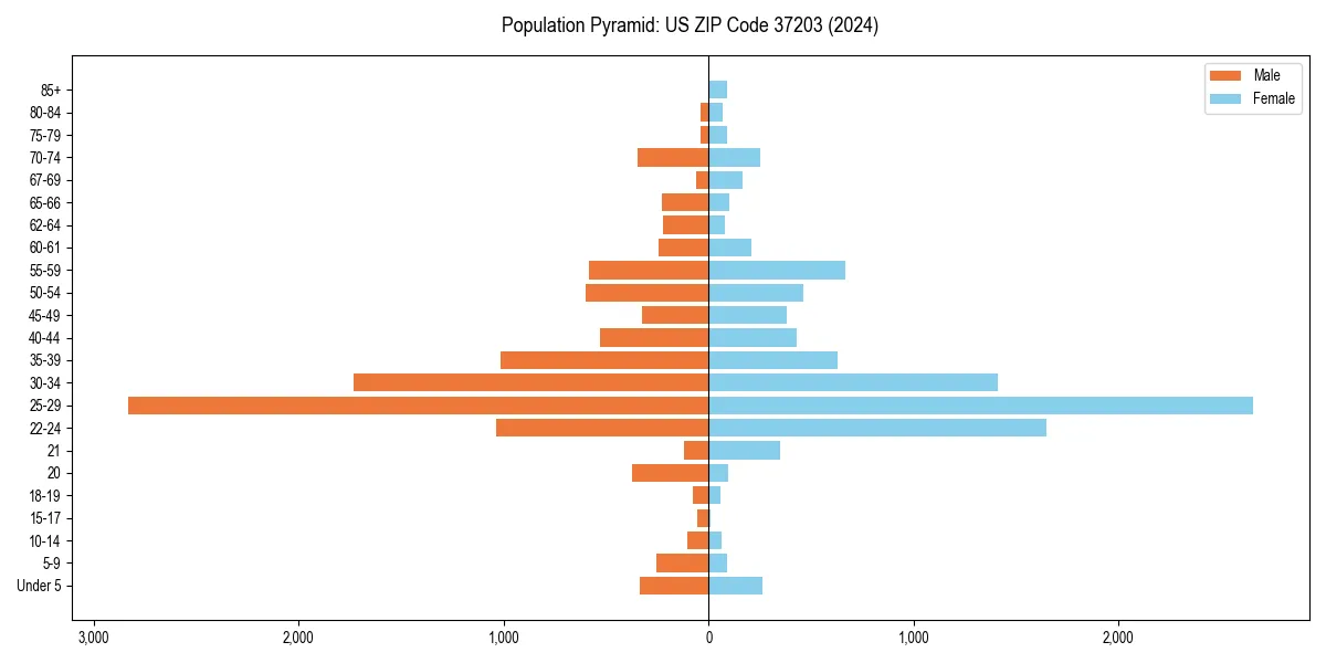 Population pyramid for 
