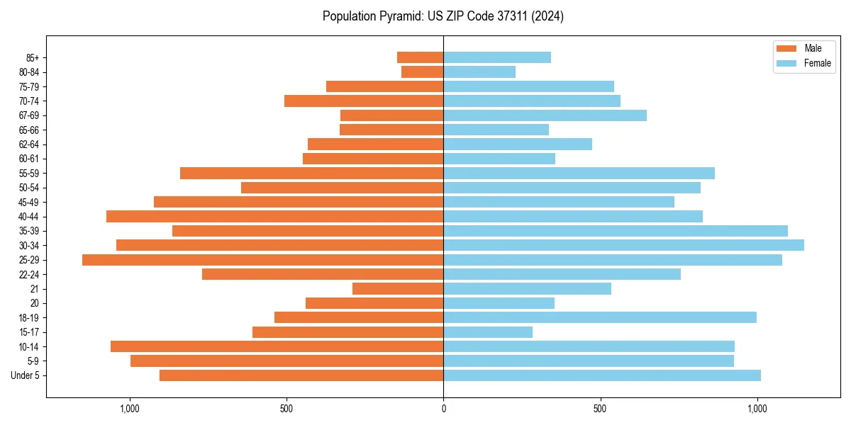 Population pyramid for 