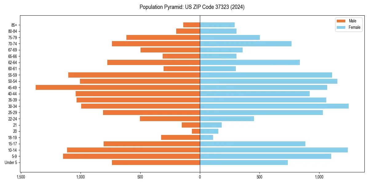 Population pyramid for 