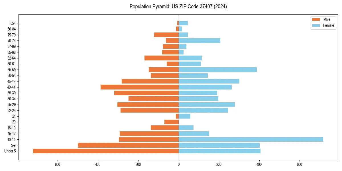 Population pyramid for 