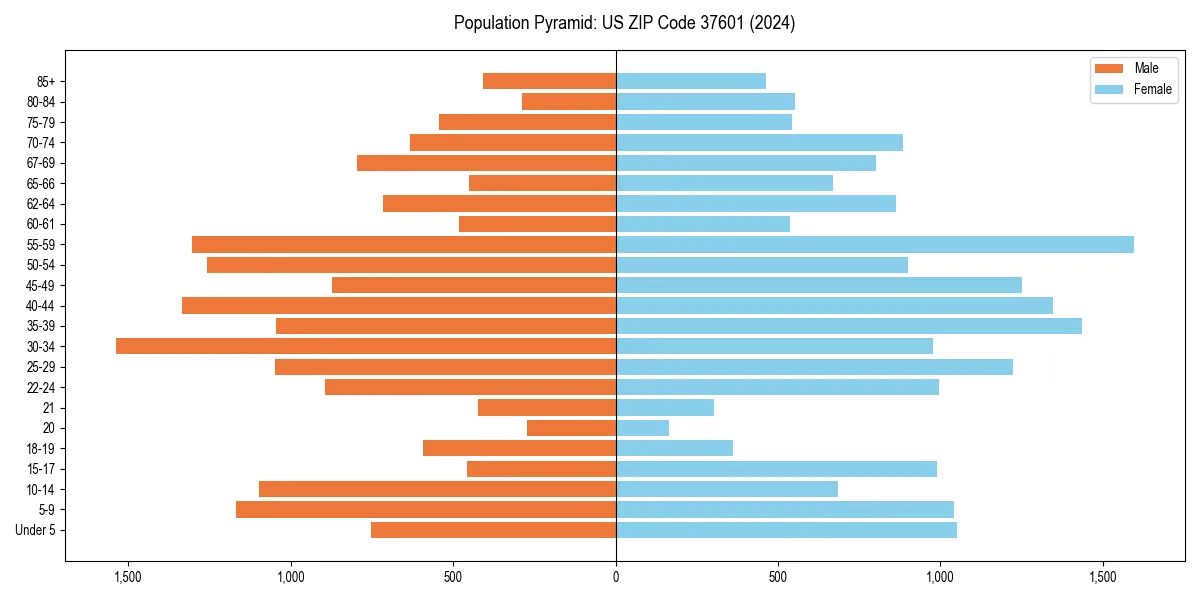 Population pyramid for 