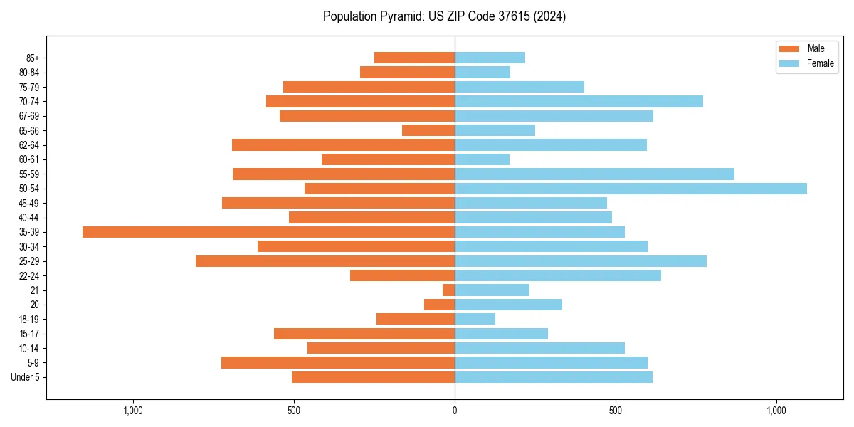 Population pyramid for 