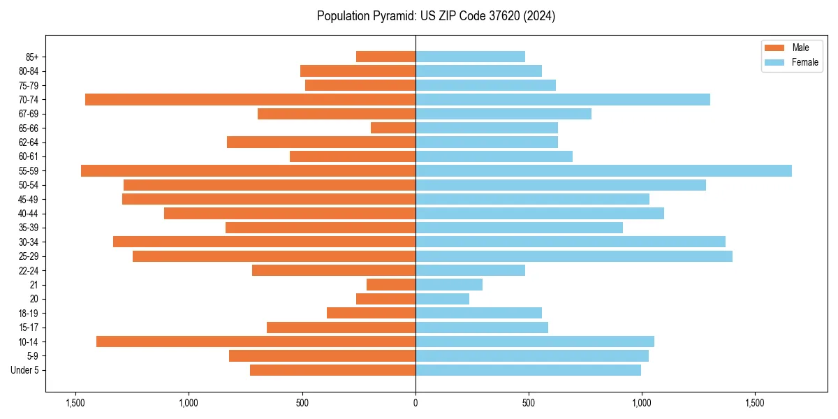 Population pyramid for 