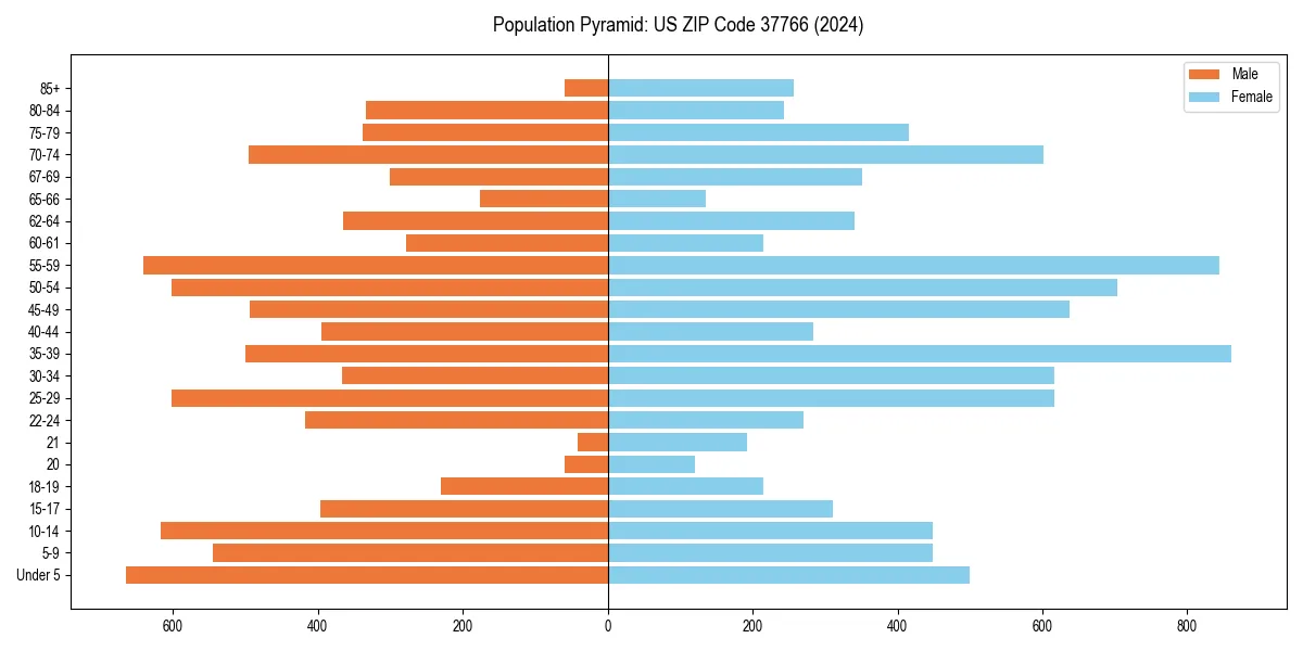Population pyramid for 