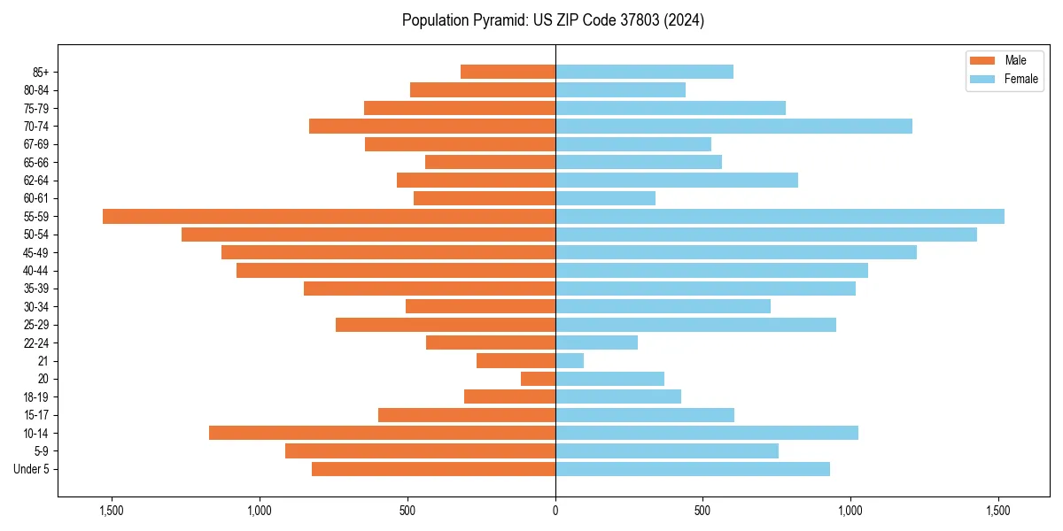 Population pyramid for 