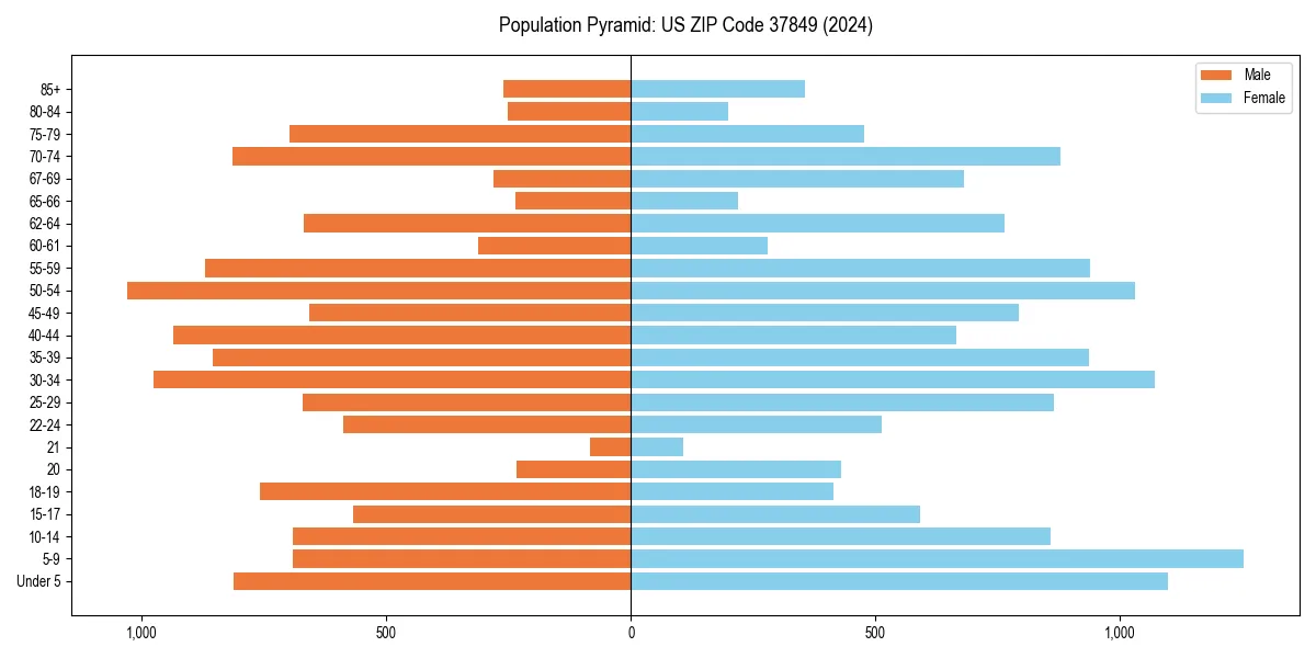 Population pyramid for 