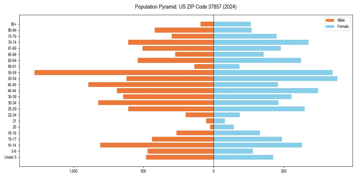 Population pyramid for 