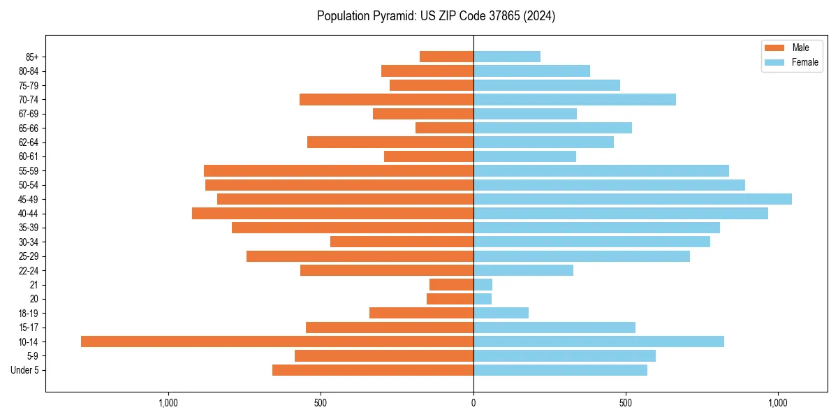 Population pyramid for 