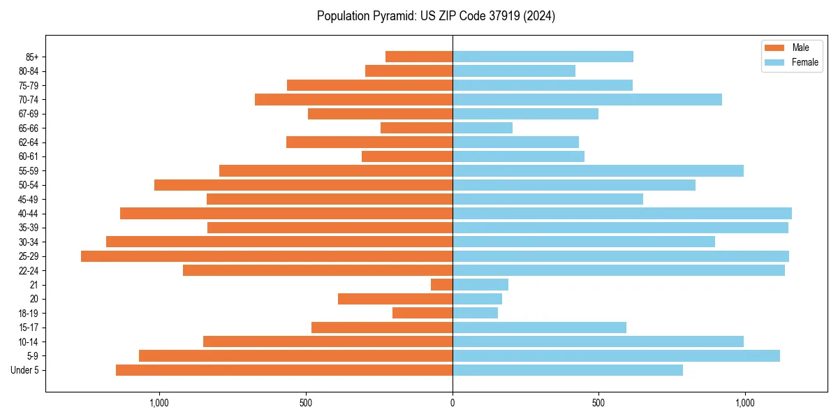 Population pyramid for 