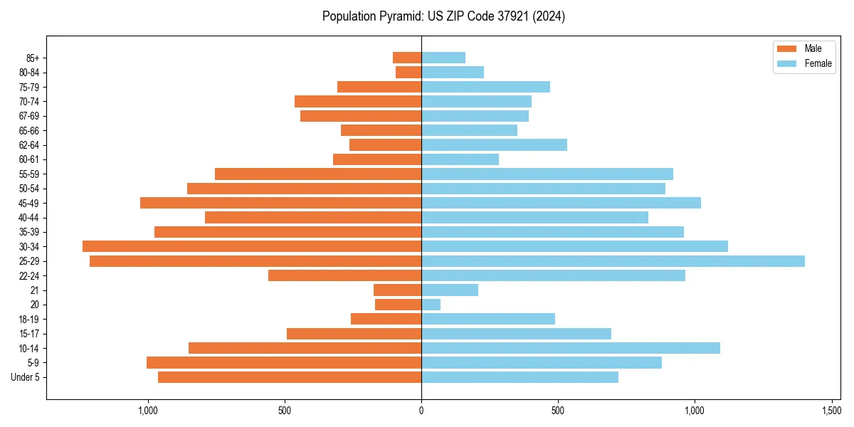Population pyramid for 
