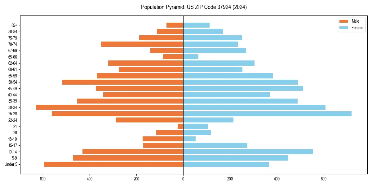 Population pyramid for 