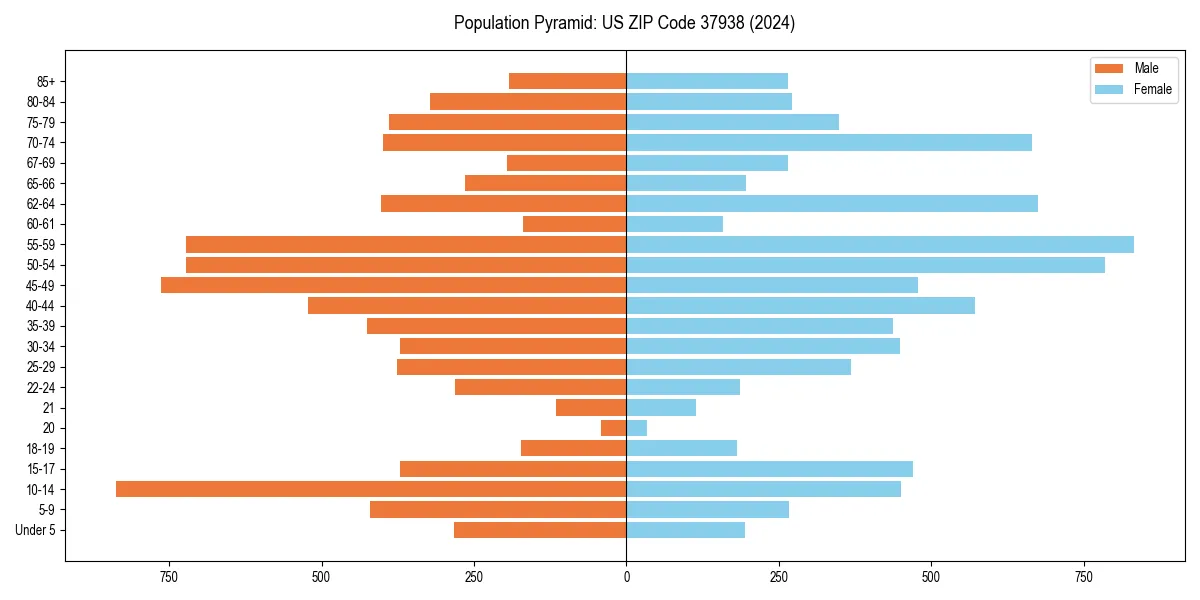 Population pyramid for 