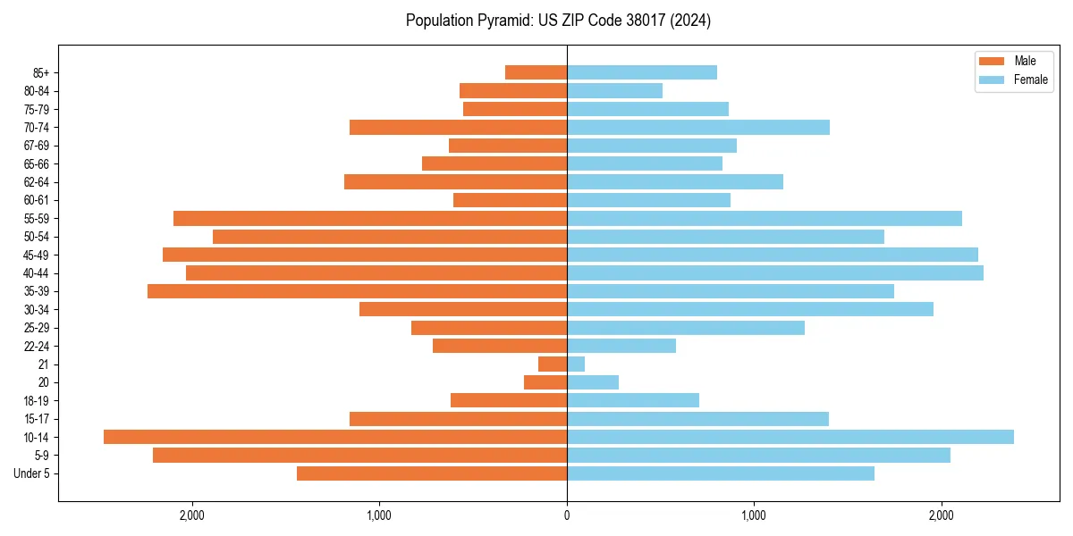 Population pyramid for 