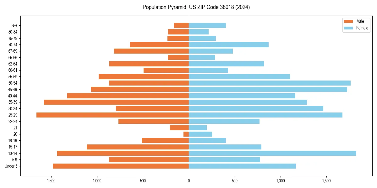 Population pyramid for 