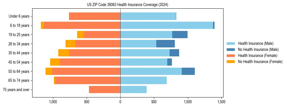 Health insurance pyramid for US ZIP Code 38063