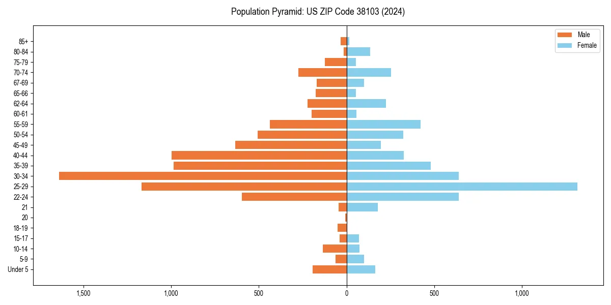 Population pyramid for 