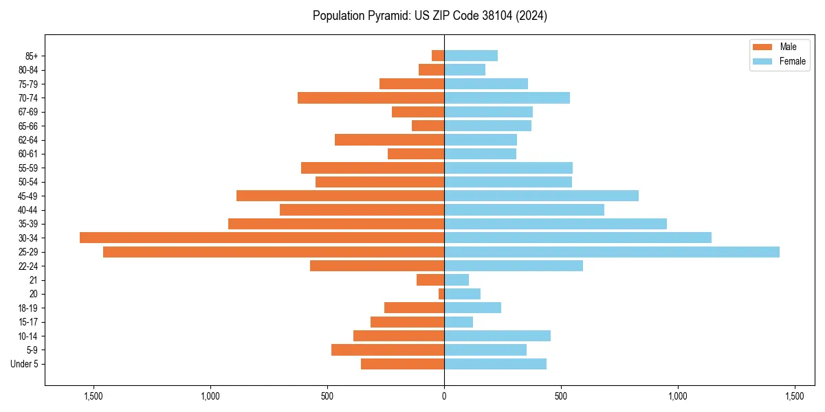 Population pyramid for 