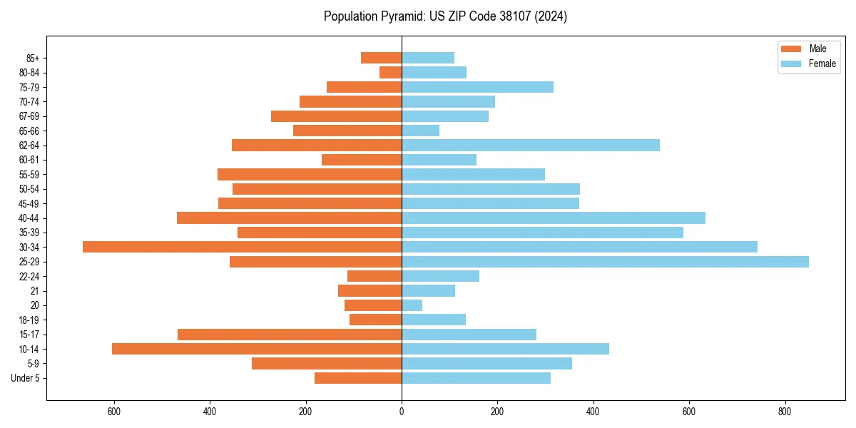 Population pyramid for 