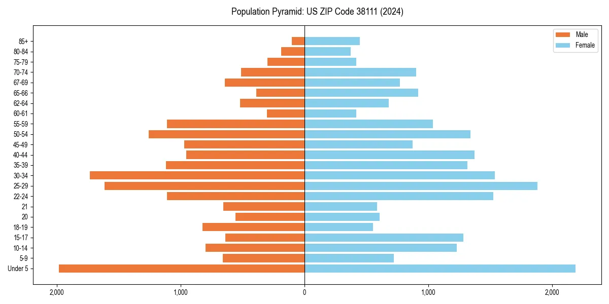 Population pyramid for 