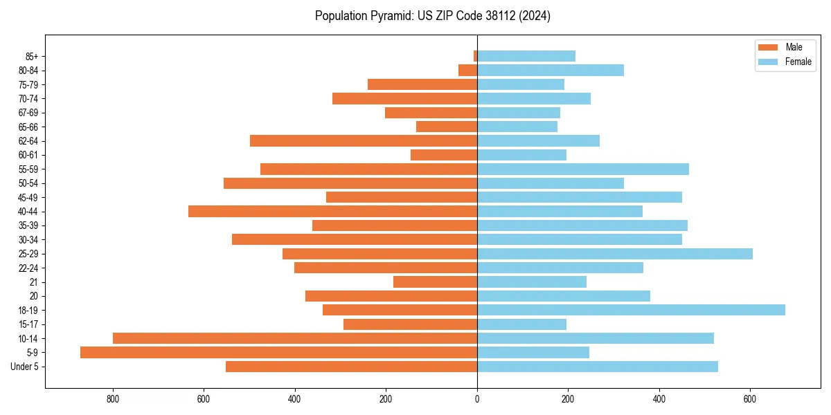 Population pyramid for 
