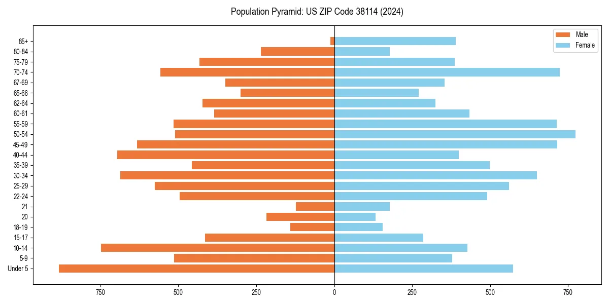 Population pyramid for 