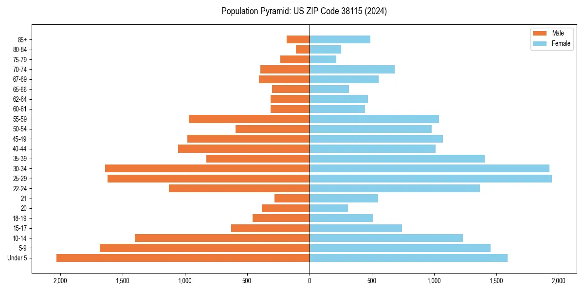Population pyramid for 