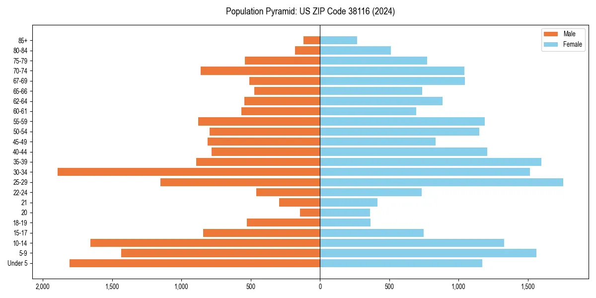 Population pyramid for 