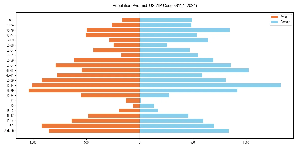 Population pyramid for 