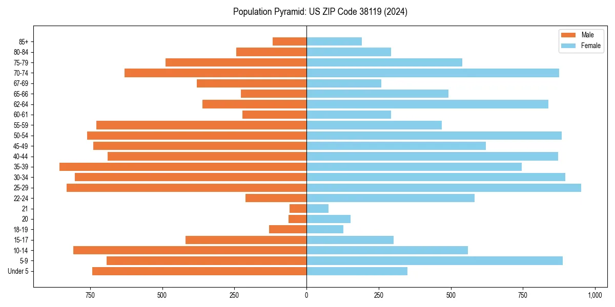 Population pyramid for 