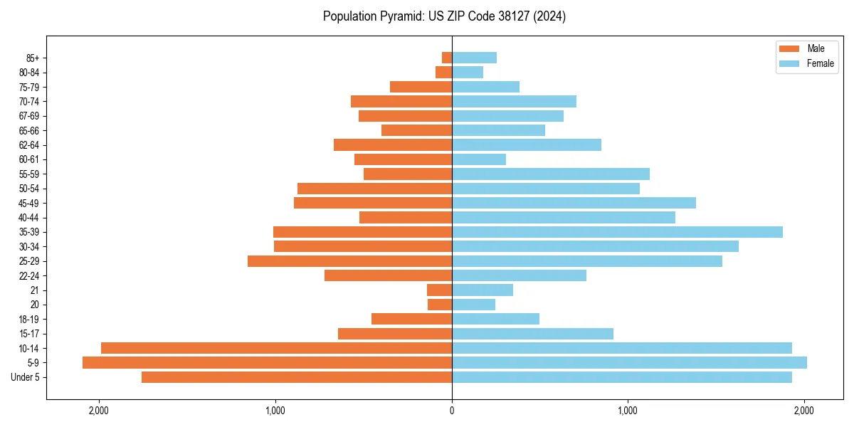 Population pyramid for 