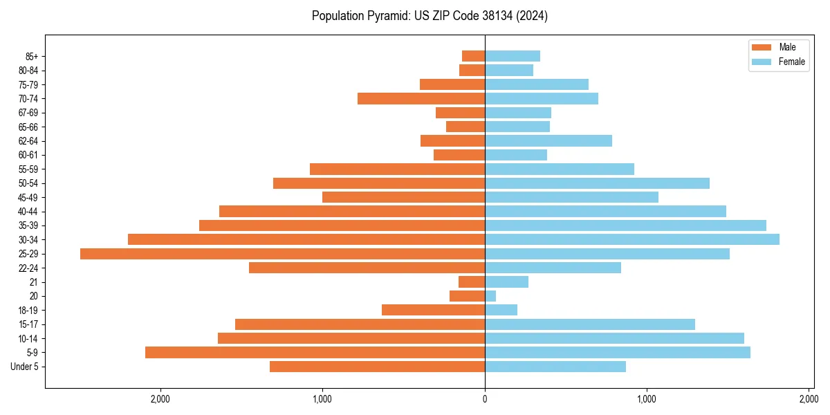 Population pyramid for 