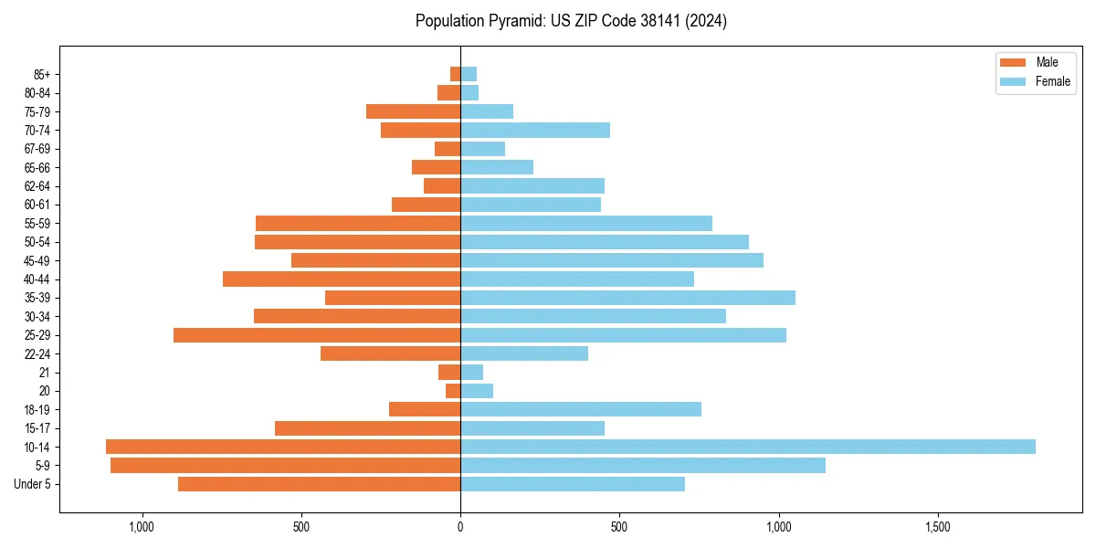 Population pyramid for 