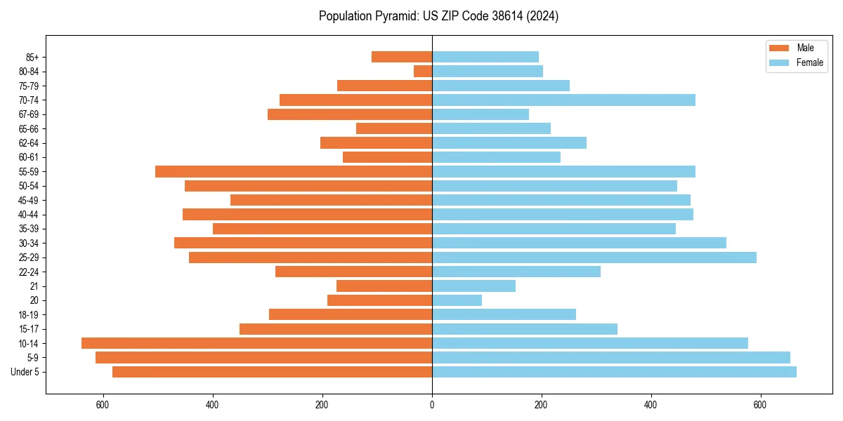 Population pyramid for 