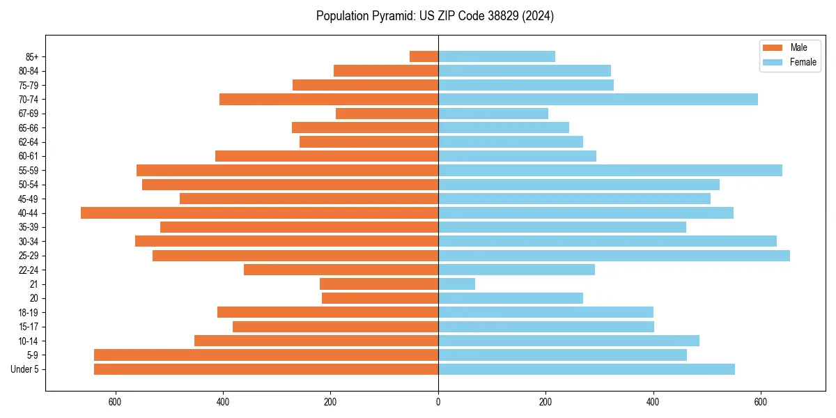Population pyramid for 