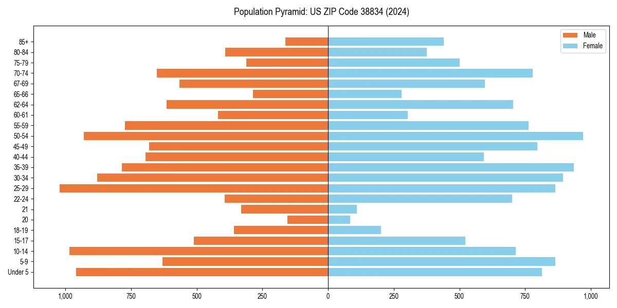 Population pyramid for 