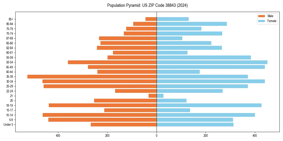 Population pyramid for 