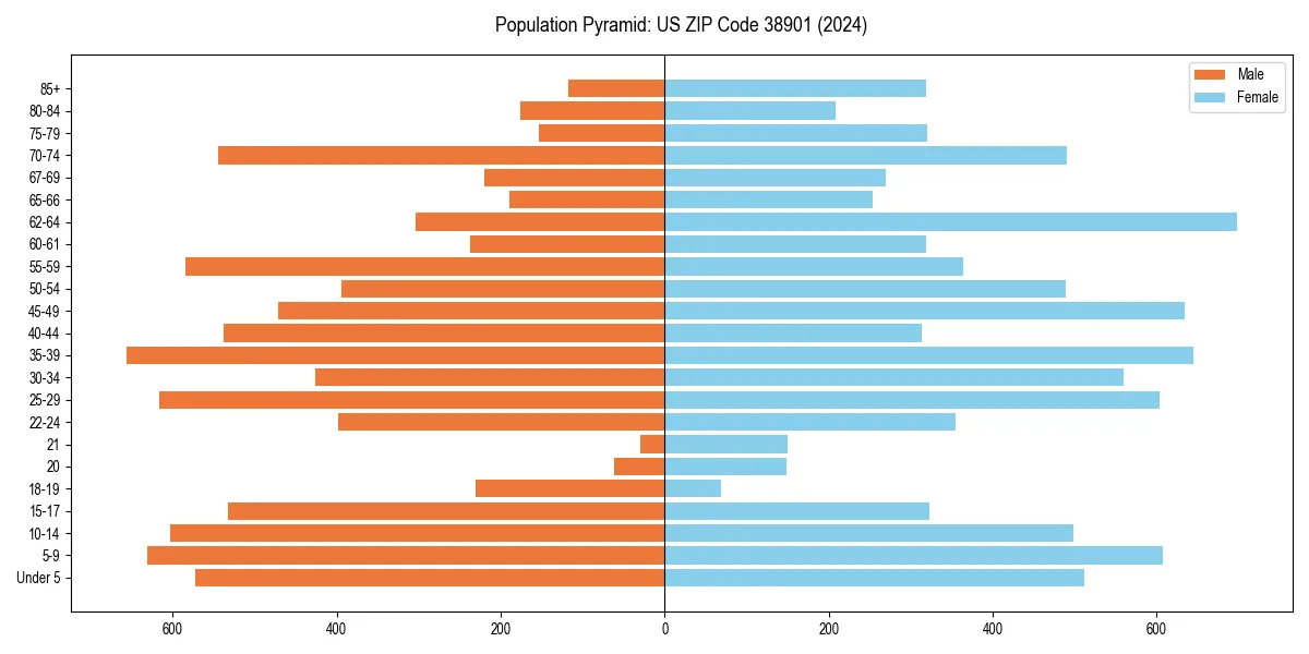 Population pyramid for 