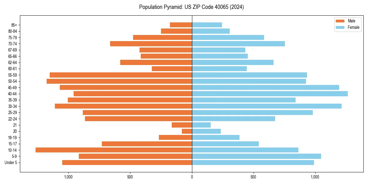 Population pyramid for 