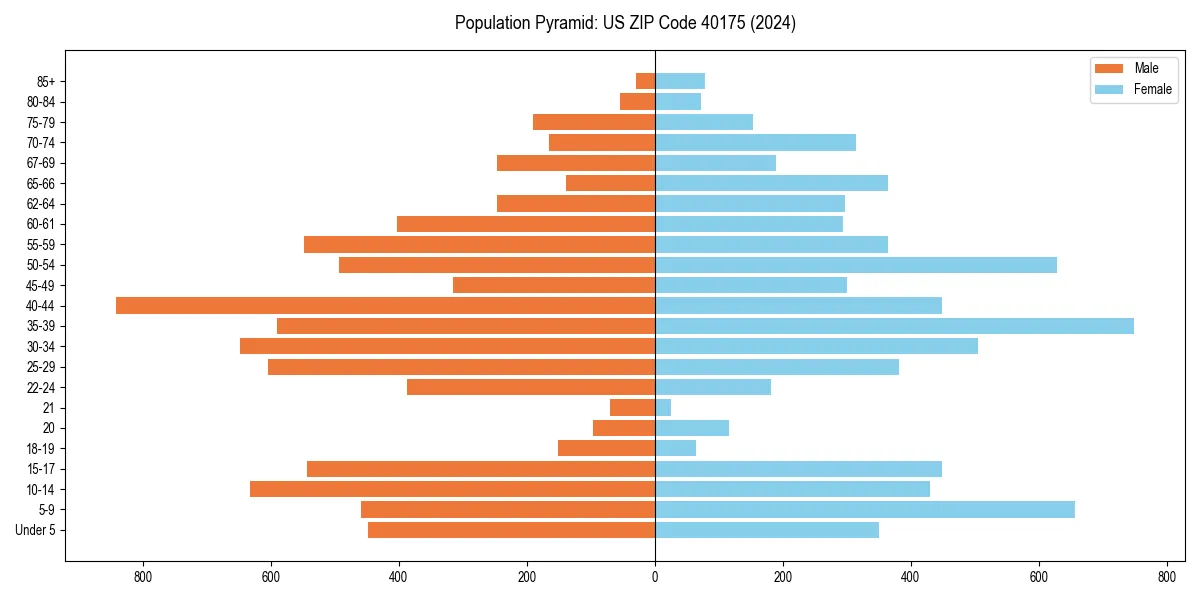 Population pyramid for