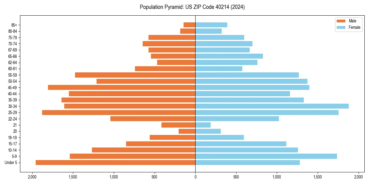 Population pyramid for 