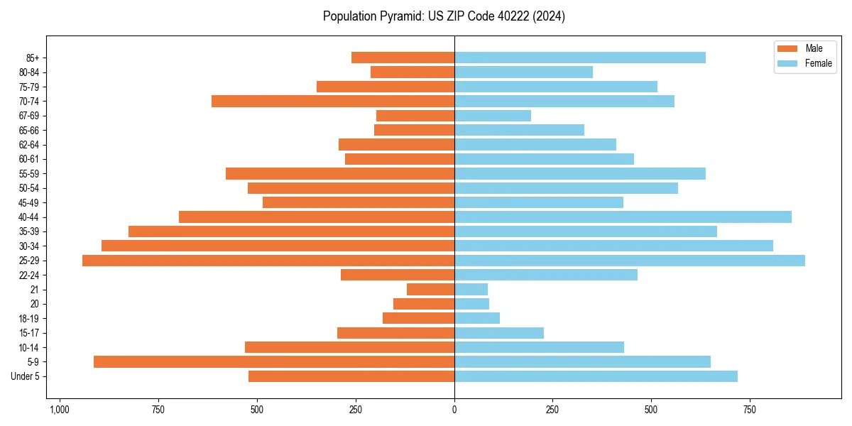 Population pyramid for 