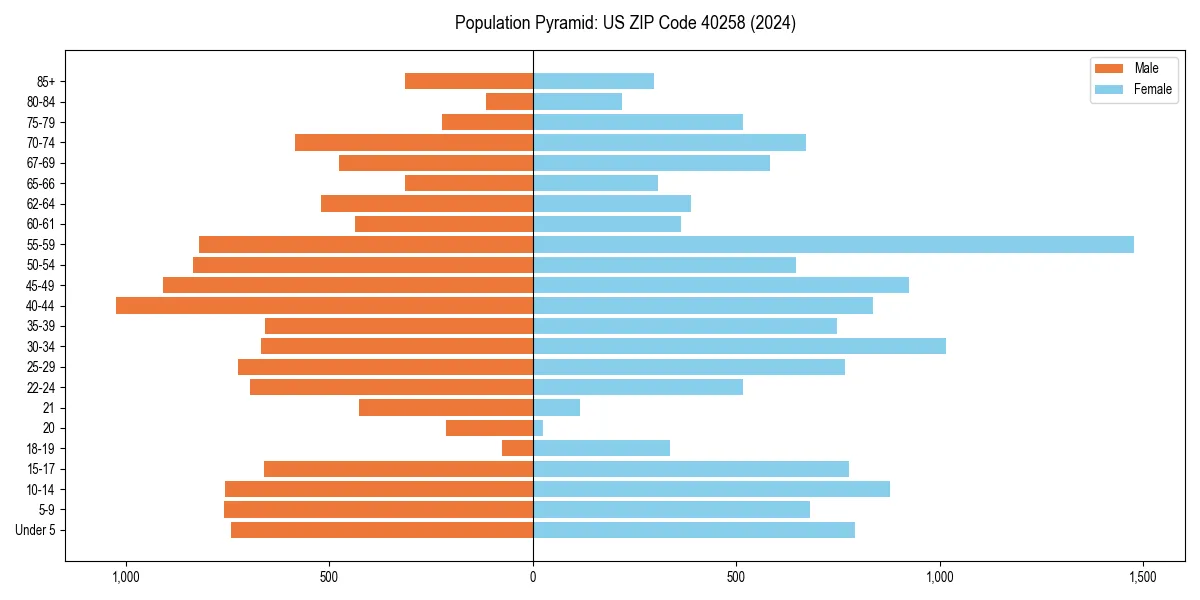Population pyramid for 