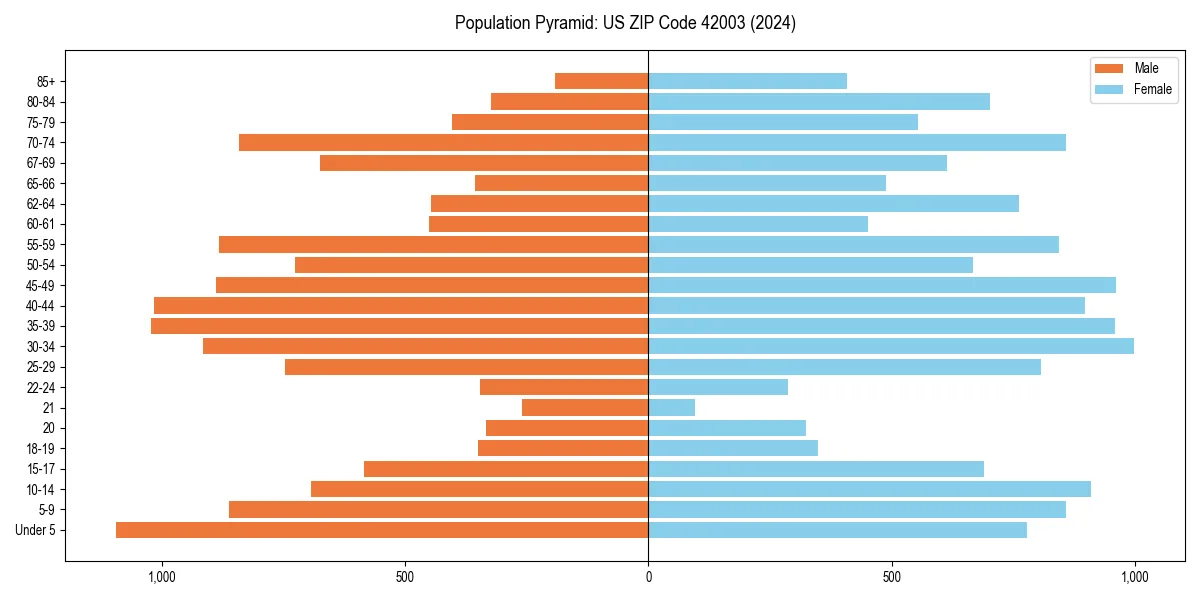 Population pyramid for 