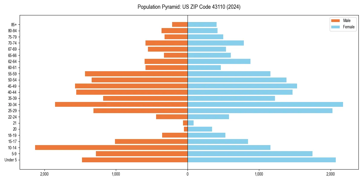 Population pyramid for 