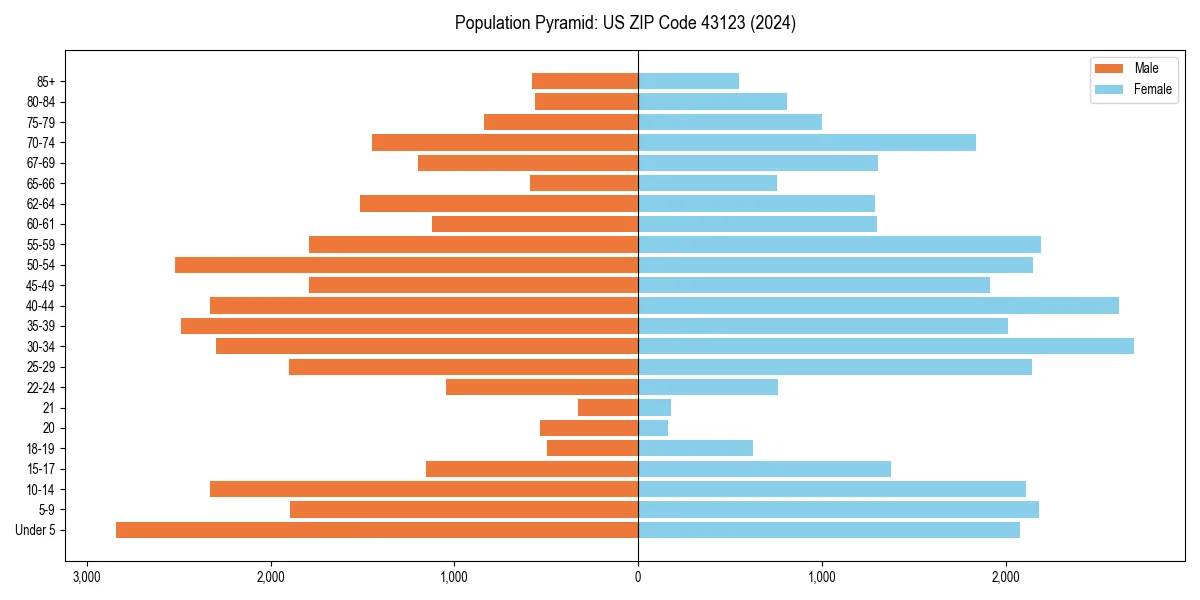 Population pyramid for 