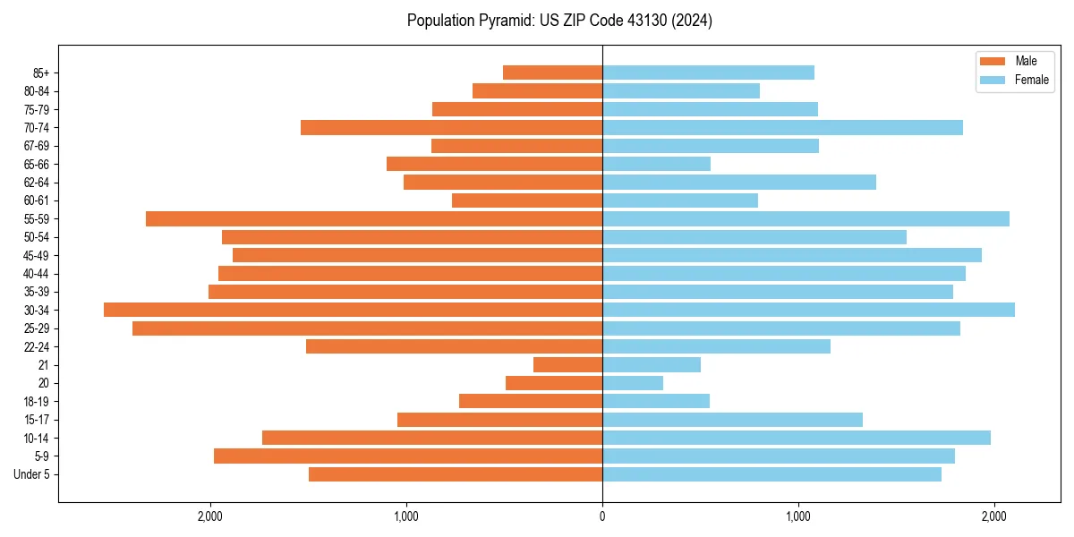 Population pyramid for