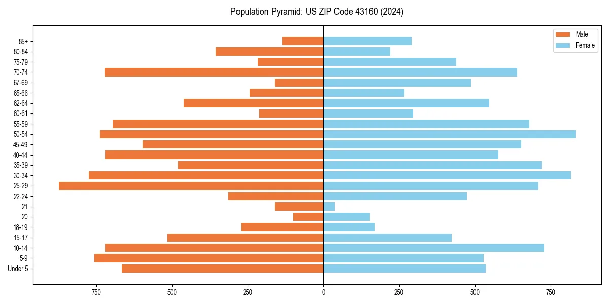 Population pyramid for 