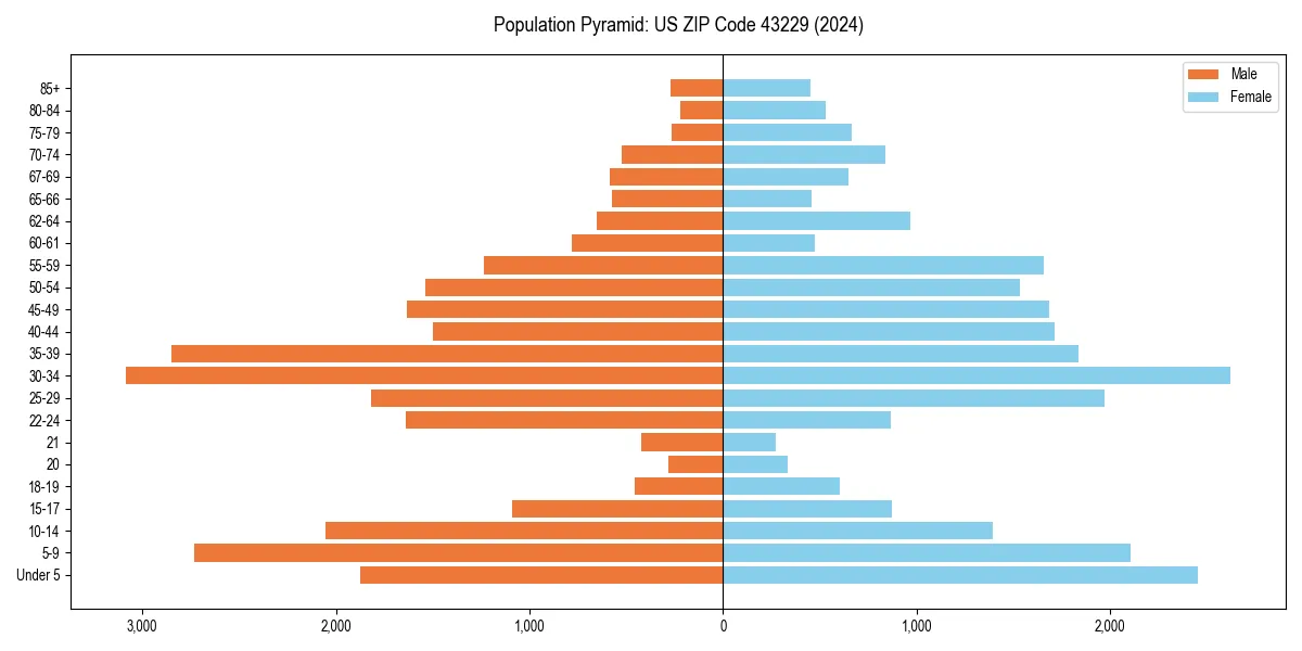 Population pyramid for 