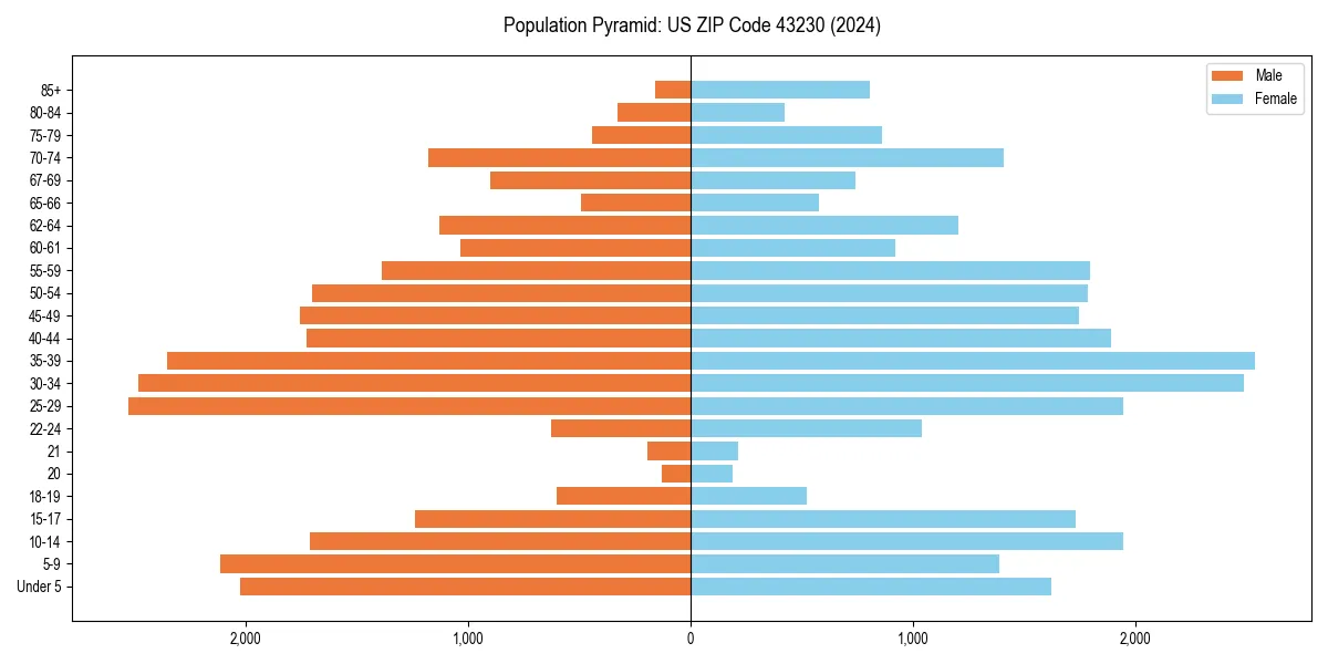 Population pyramid for 